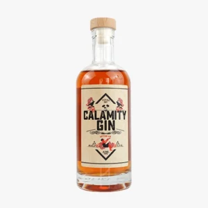 750ml Glass Clear Gin Bottle with Cork