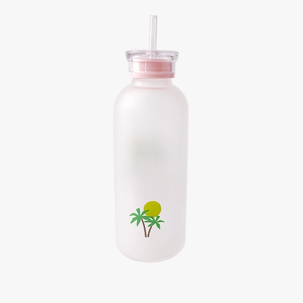 Glass Juice Bottle With Straw 670ml